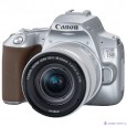 Canon EOS 250D серебристый {24.1Mpix EF-S 18-55mm f/1:4-5.6 IS STM 3" 4K Full HD SDXC Li-ion}