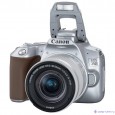 Canon EOS 250D серебристый {24.1Mpix EF-S 18-55mm f/1:4-5.6 IS STM 3" 4K Full HD SDXC Li-ion}